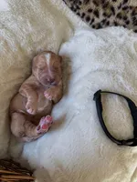 processed/a2894c17-fa12-4849-8063-35580fa0b823/listing/8f54eae6-3ac7-469c-a9bd-758056838687/77cd3d09-ae6d-4657-ab9f-2a4feb77c282