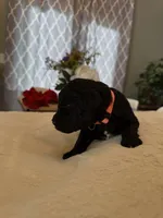 processed/a2894c17-fa12-4849-8063-35580fa0b823/listing/b7f443c2-4e65-436a-9259-130b839e1fa4/5eea3bbc-fe38-4cbd-9a19-7864841e1e08