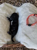 processed/a2894c17-fa12-4849-8063-35580fa0b823/listing/b7f443c2-4e65-436a-9259-130b839e1fa4/623116a7-fab1-415b-8f7b-6d5b93ac07d9