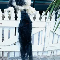 processed/a28a3f8c-6f41-408e-8324-4cd8f7e403ef/facility/0656db7d-6521-4614-9abb-42fc7f750ccd