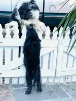 processed/a28a3f8c-6f41-408e-8324-4cd8f7e403ef/facility/0656db7d-6521-4614-9abb-42fc7f750ccd