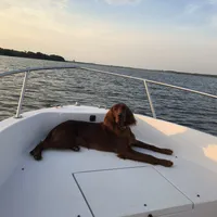 processed/a28a3f8c-6f41-408e-8324-4cd8f7e403ef/facility/1a64d724-aeea-43e2-95e2-9129dcbdd440