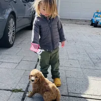 processed/a28a3f8c-6f41-408e-8324-4cd8f7e403ef/facility/1b157f5d-dfff-4a45-8daa-d86459aac073