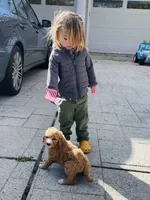 processed/a28a3f8c-6f41-408e-8324-4cd8f7e403ef/facility/1b157f5d-dfff-4a45-8daa-d86459aac073