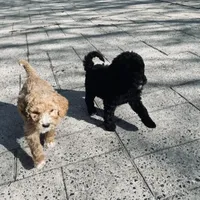 processed/a28a3f8c-6f41-408e-8324-4cd8f7e403ef/facility/7880d7d5-7393-48c3-9b84-72eddeeb7b46