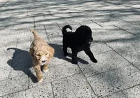 processed/a28a3f8c-6f41-408e-8324-4cd8f7e403ef/facility/7880d7d5-7393-48c3-9b84-72eddeeb7b46