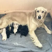 processed/a28a3f8c-6f41-408e-8324-4cd8f7e403ef/facility/a670d5e2-11d4-4f1b-b619-03c9332977e7