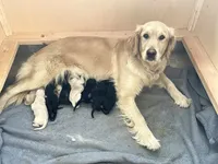 processed/a28a3f8c-6f41-408e-8324-4cd8f7e403ef/facility/a670d5e2-11d4-4f1b-b619-03c9332977e7