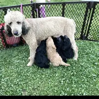 processed/a28a3f8c-6f41-408e-8324-4cd8f7e403ef/facility/a9a90dc0-64ac-466d-ad3d-cb1c85b1872a