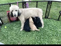 processed/a28a3f8c-6f41-408e-8324-4cd8f7e403ef/facility/a9a90dc0-64ac-466d-ad3d-cb1c85b1872a