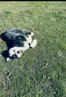 processed/a28a3f8c-6f41-408e-8324-4cd8f7e403ef/listing/2753ccb4-385d-4cb8-84b5-20d10ae8329e/0dba10ad-ee49-43c4-ab07-d14a882b375f