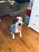 processed/a28a3f8c-6f41-408e-8324-4cd8f7e403ef/listing/2753ccb4-385d-4cb8-84b5-20d10ae8329e/2ff257af-a587-4e81-85d5-09cb7163d826