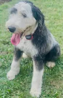 processed/a28a3f8c-6f41-408e-8324-4cd8f7e403ef/listing/2753ccb4-385d-4cb8-84b5-20d10ae8329e/7e142e73-4402-4a9e-a3db-658309c465ee