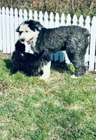 processed/a28a3f8c-6f41-408e-8324-4cd8f7e403ef/listing/2753ccb4-385d-4cb8-84b5-20d10ae8329e/b118067a-27cc-483b-abdf-edba9f578fd2