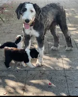 processed/a28a3f8c-6f41-408e-8324-4cd8f7e403ef/listing/2753ccb4-385d-4cb8-84b5-20d10ae8329e/b2871a77-f1ef-4b0b-a9ab-d0927de90140