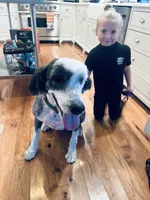 processed/a28a3f8c-6f41-408e-8324-4cd8f7e403ef/listing/2753ccb4-385d-4cb8-84b5-20d10ae8329e/d0efbafe-e659-46e7-a31b-a677b748cb44