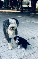 processed/a28a3f8c-6f41-408e-8324-4cd8f7e403ef/listing/2753ccb4-385d-4cb8-84b5-20d10ae8329e/f877a109-ab52-4041-a071-e2bb34896f39