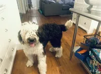 processed/a28a3f8c-6f41-408e-8324-4cd8f7e403ef/listing/4509d551-7725-40e9-977b-7bc4262b3dc2/3b2ee75e-889e-45fe-833f-f5cc87a5bb53