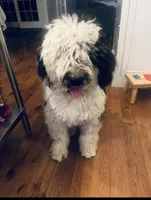 processed/a28a3f8c-6f41-408e-8324-4cd8f7e403ef/listing/4509d551-7725-40e9-977b-7bc4262b3dc2/49d685b0-8fe0-4144-b83a-708ed59c379b