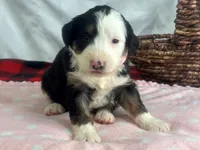 processed/a28b40fb-1920-4898-9e17-567e32a8937f/listing/4eb35812-c94b-41b5-afd8-45f1001ea4ff/09ccdffb-5453-41ec-b698-96b9409d114e