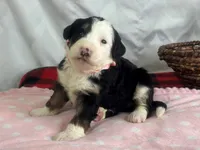 processed/a28b40fb-1920-4898-9e17-567e32a8937f/listing/4eb35812-c94b-41b5-afd8-45f1001ea4ff/80841213-43f0-4fff-8a4d-a1f17dee471a