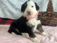 processed/a28b40fb-1920-4898-9e17-567e32a8937f/listing/4eb35812-c94b-41b5-afd8-45f1001ea4ff/fb72a515-b15b-4cf3-8459-26f90c0cb61c