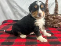 processed/a28b40fb-1920-4898-9e17-567e32a8937f/listing/9cf407af-6935-4181-a7f8-7f2e706ea4cb/a32e33c4-226e-4cab-822c-e872ee9fab46