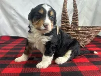 processed/a28b40fb-1920-4898-9e17-567e32a8937f/listing/9cf407af-6935-4181-a7f8-7f2e706ea4cb/aa124b78-cb55-4b4b-be16-671ffb1a8ff9