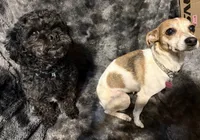 processed/a28d9403-4b3a-4abd-8762-c2bc2523f18b/listing/e9d4fd5e-5e75-4674-b0d8-9fc1c31b0c7b/80457f3f-7c5a-4960-87b1-c308e9835e37