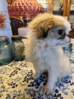 processed/a29d45cc-1099-4120-b523-68606b25dd50/listing/d748e602-6256-4845-b2d7-792398bf6e03/0a524186-c1e9-40f3-a5af-8d6aadfa9156