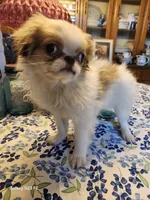 processed/a29d45cc-1099-4120-b523-68606b25dd50/listing/d748e602-6256-4845-b2d7-792398bf6e03/0c81979f-522b-4188-94bc-3180b2167679