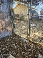 processed/a29d45cc-1099-4120-b523-68606b25dd50/listing/d748e602-6256-4845-b2d7-792398bf6e03/85114772-1779-4c99-af5c-7e5211a704f0