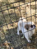 processed/a29d45cc-1099-4120-b523-68606b25dd50/listing/d748e602-6256-4845-b2d7-792398bf6e03/c545f2c7-1ca7-4f3a-a479-0639d98a8863