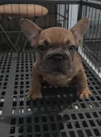 processed/a2a69531-08f5-437b-a09a-e1e842431250/listing/65fc9430-2bb6-4cc9-bfce-5a62f3c0a194/61d4ef9b-2656-44aa-b954-2c6220e27466