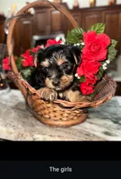 processed/a2a69531-08f5-437b-a09a-e1e842431250/listing/bc4e2ded-3c39-4c34-9382-6fb07bd86822/4f6af955-699a-48ce-98a5-db764a49ce17