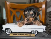 processed/a2a69531-08f5-437b-a09a-e1e842431250/listing/bc4e2ded-3c39-4c34-9382-6fb07bd86822/6b548eff-d952-4743-bc88-7cb7a2e947c1