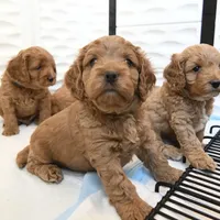 processed/a2a940c2-0852-4fd2-a2b9-3ecabe0d3732/facility/5d256c3a-6b67-43cd-9e22-bb4eeb846b63