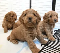 processed/a2a940c2-0852-4fd2-a2b9-3ecabe0d3732/facility/5d256c3a-6b67-43cd-9e22-bb4eeb846b63