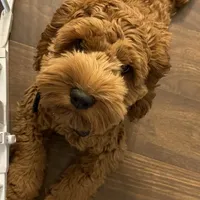 processed/a2a940c2-0852-4fd2-a2b9-3ecabe0d3732/facility/770aa02e-b096-4d5d-9a51-79b08e1029b0