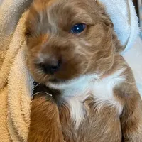 processed/a2a940c2-0852-4fd2-a2b9-3ecabe0d3732/facility/a04cb480-84d6-4c67-9756-e10afe1796cf