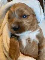 processed/a2a940c2-0852-4fd2-a2b9-3ecabe0d3732/facility/a04cb480-84d6-4c67-9756-e10afe1796cf