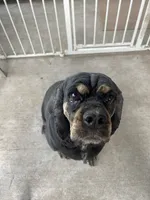 processed/a2a940c2-0852-4fd2-a2b9-3ecabe0d3732/listing/46261016-089a-4f5a-82fc-97cd947df3ab/32365dca-e2f6-43a6-a37b-1d7045e89c53