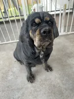 processed/a2a940c2-0852-4fd2-a2b9-3ecabe0d3732/listing/46261016-089a-4f5a-82fc-97cd947df3ab/bfb520f0-59bc-458f-bb31-7e7d243d997c