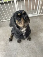 processed/a2a940c2-0852-4fd2-a2b9-3ecabe0d3732/listing/46261016-089a-4f5a-82fc-97cd947df3ab/ffbc891d-bc1b-481a-8e0a-2ba733c191e8