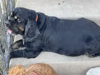 processed/a2a940c2-0852-4fd2-a2b9-3ecabe0d3732/listing/46261016-089a-4f5a-82fc-97cd947df3ab/ffc95ab8-dc37-4357-96a3-69599634adfb