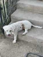 processed/a2a940c2-0852-4fd2-a2b9-3ecabe0d3732/listing/9e0caaa8-0cc3-4cdd-8112-b9fa8c7e7e27/dca05740-86e2-453a-a614-1191b0e0f896