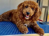 processed/a2a940c2-0852-4fd2-a2b9-3ecabe0d3732/listing/ac67ee51-a195-4c0a-a9bf-cf339d5d0ef0/941e7bc2-830a-4646-9235-88fbe6db84a2