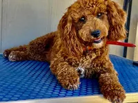 processed/a2a940c2-0852-4fd2-a2b9-3ecabe0d3732/listing/ac67ee51-a195-4c0a-a9bf-cf339d5d0ef0/c8dee9e7-ab3f-4d91-ba3a-aed5a8d6691f