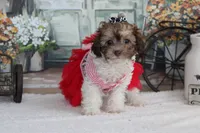 processed/a2ab33a0-9a04-4409-94a4-9eeabccc2f49/listing/08f83d82-8b45-4d9d-812a-78167b8daccc/0b562f24-5b49-4fd9-9596-978a6d485f5a