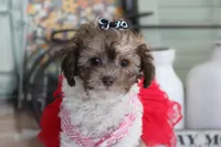 processed/a2ab33a0-9a04-4409-94a4-9eeabccc2f49/listing/08f83d82-8b45-4d9d-812a-78167b8daccc/835a620b-0149-480f-9926-b1bf32c2b5ef